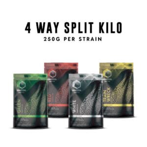 Buy Kratom Online for Enhanced Wellness - Shop High-Quality Kratom