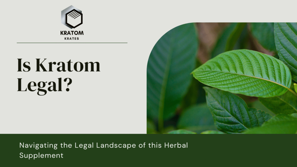 Is Kratom Legal? Navigating the Legal Landscape of this Herbal Supplement