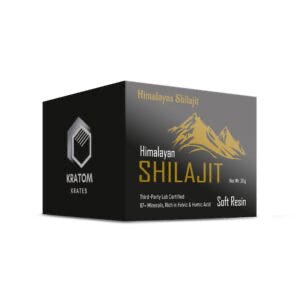 Close-up of a small Box containing dark, glossy Himalayan Shilajit soft resin.